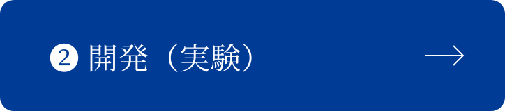 開発（実験）